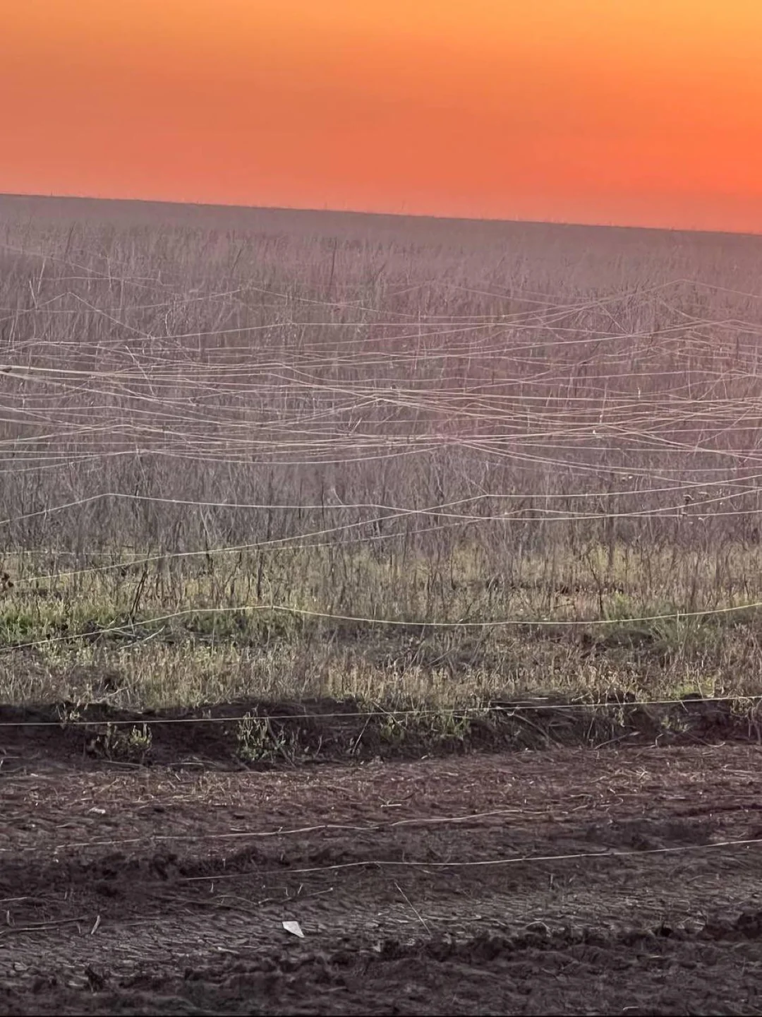 The sun sets over fields of fiber optic cable in Ukraine.